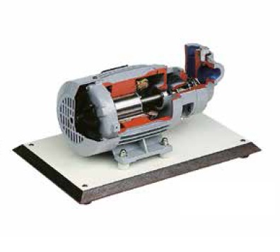 matériel pédagogique : Maquette didactique en coupe d'une électropompe centrifuge à rotors ouverts